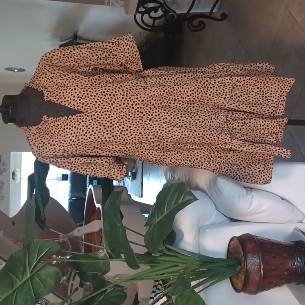 J.Crew Dress